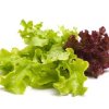 Photo of different types of lettuce.
