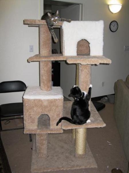 Making Your Own Cat Tree, Photo of a homemade cat tree.