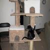 Making Your Own Cat Tree, Photo of a homemade cat tree.
