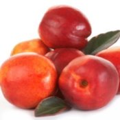 Small stack of nectarines against white background.