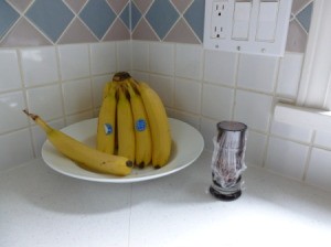 Small vase and bowl of bananas on kitchen counter