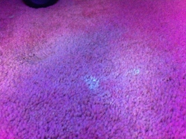 black light carpet