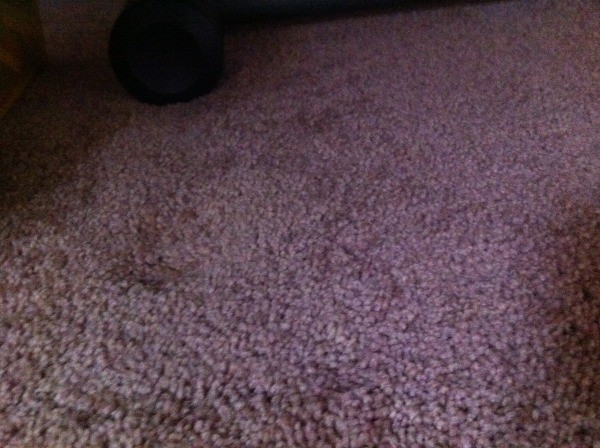 A carpet stain that is difficult to see.