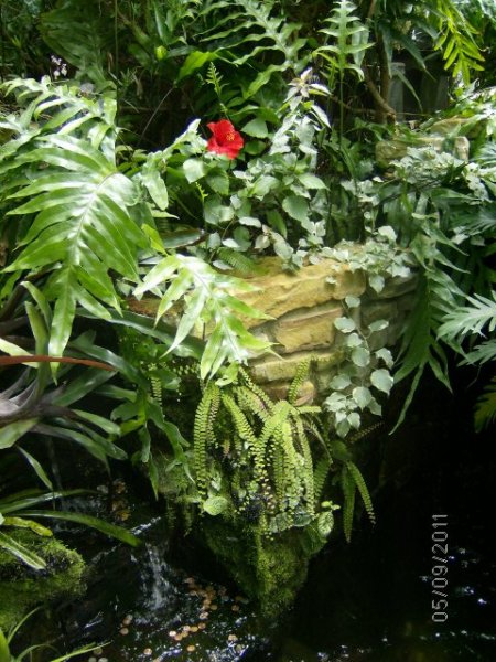 Plants in Greenhouse at Metroparks Zoon in Cleveland