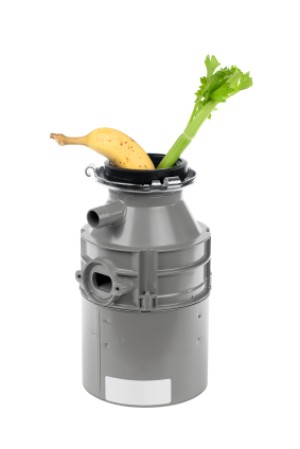 Celery and Banana Going into Garbage Disposal