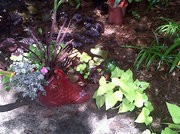 Red Fish Planter in Garden