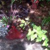 Red Fish Planter in Garden