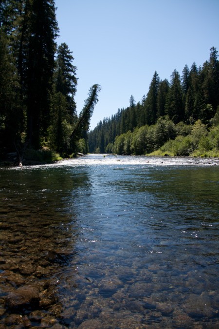 Longview of Riverside Campground