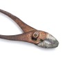 A photo of rusty pliers.