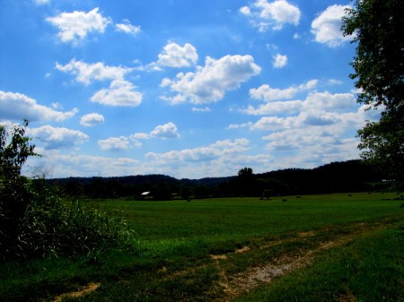 Blue Skies and Green Grass in the Country