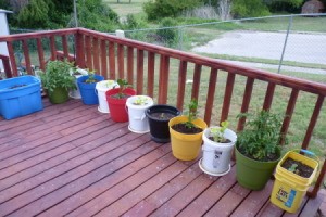 Row of Containers for Plants on Deck