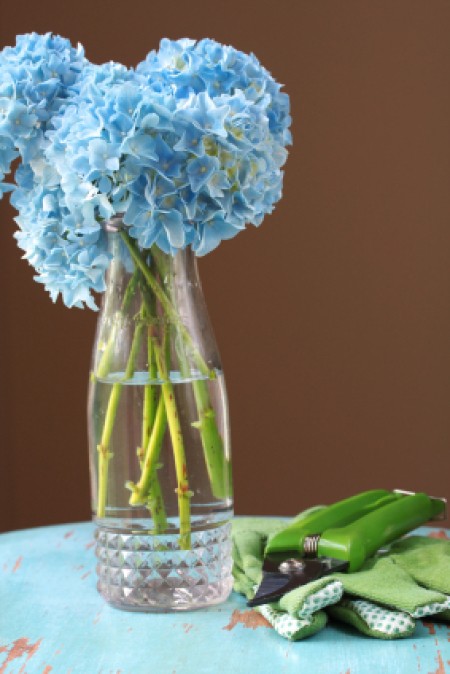 vase with hydrangea flowers on white table with brown background