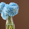 vase with hydrangea flowers on white table with brown background