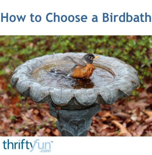 How to Choose a Birdbath | ThriftyFun