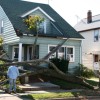 Tree Fallen on House After Hurricane