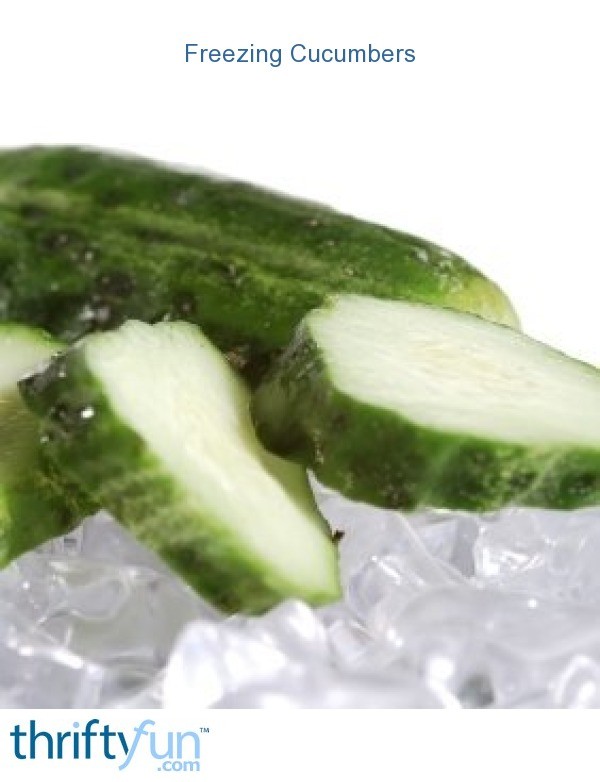 Freezing Cucumbers ThriftyFun