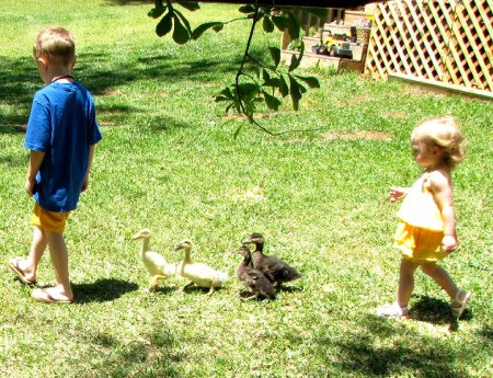 Boy and Girls Parading With Ducks