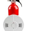 A smoke alarm and fire extinguisher for your home.