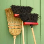Three brooms leaning against a green wall.