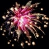 Pink and White Fireworks