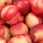 Several nectarines from the farmer's market.