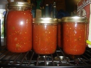 Jars of homemade canned tomato salsa.