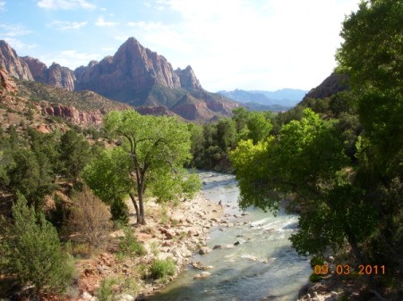 River Flowing Through Zion National Park