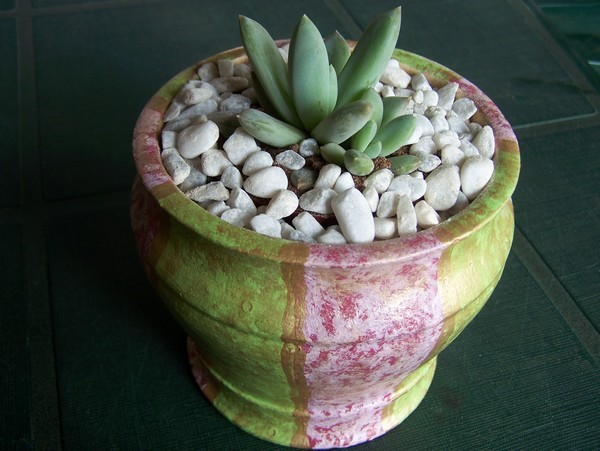 Add plant to hand-painted pot