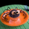 A cupcake decorated to look like a black spider.