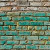 Green paint on a brick wall.