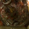 Closeup of Broken Glass Bowl