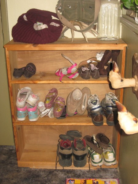 Bookshelf with different sized shoes on it.shoes