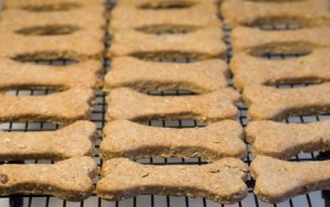 Homemade Dog Treat Recipes, Rows of homemade dog biscuits cooling on a rack.