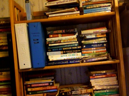Books sorted on bookshelves.
