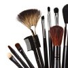 A selection of brushes used to apply makeup.