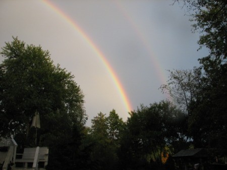 Large Double Rainbow Over Trees
