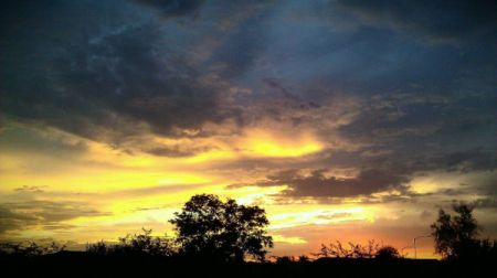 View of Sunset from Bench With Tree in Foreground