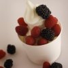 Plain frozen yogurt with raspberries and blackberries.