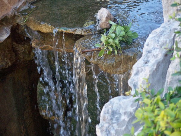 Small Branch at the Edge of Waterfall