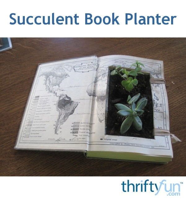 Succulent Book Planter ThriftyFun