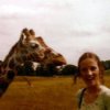 Giraffe and Young Woman