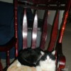 Miss Kitty in a Rocking Chair