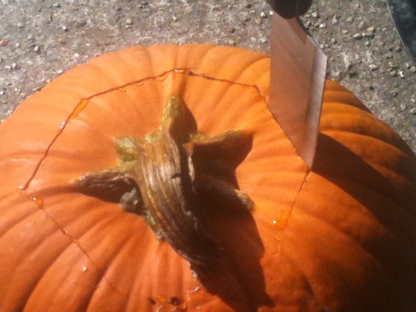 Pumpkin Planters - Cutting stem out of pumpkin