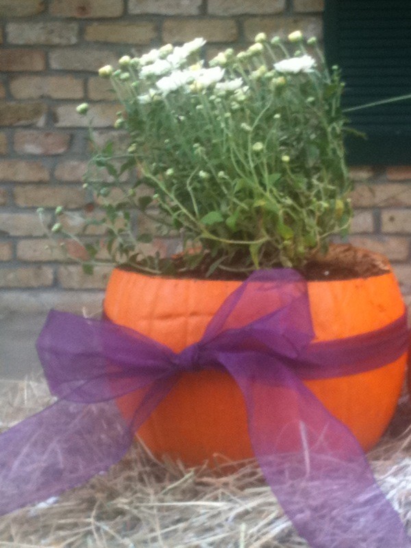 Pumpkin Planter 2