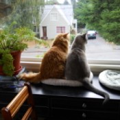 Karma and Numi Bird Watching