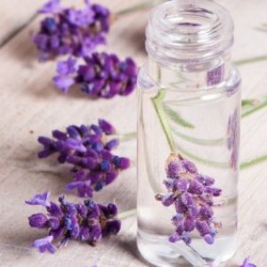 Lavender flower in clear liquid filled jar.