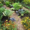 Mixed veggie and flower garden with gravel paths.