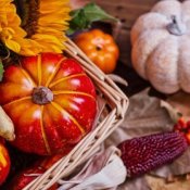 Fall decoration with pumpkins, gourds, and Indian corn.