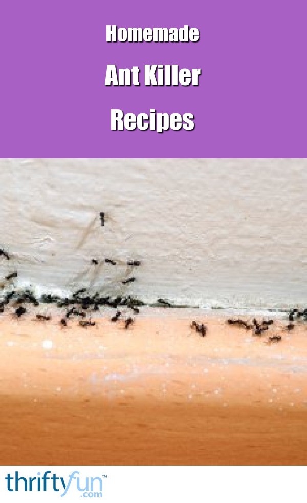 HOMEMADE ANT RECIPE