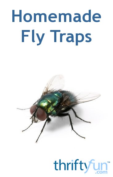 Homemade Fly Traps | ThriftyFun